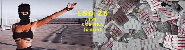 2c-b Алзамай