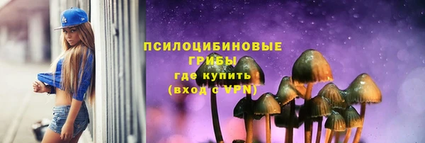 тгк Переславль-Залесский